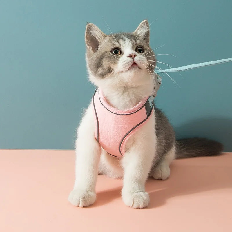 ComfortPaws | Suede-steun voor eenvoudig instappen
