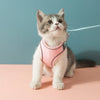 ComfortPaws | Suede-steun voor eenvoudig instappen