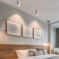 Denver Zwart & Wit Opbouwspot