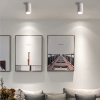 Denver Zwart & Wit Opbouwspot