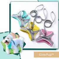 GlowPup | Je verlicht het pad naar veiligheid en comfort voor je geliefde huisdier