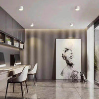 Emberlynn Opbouw Downlight