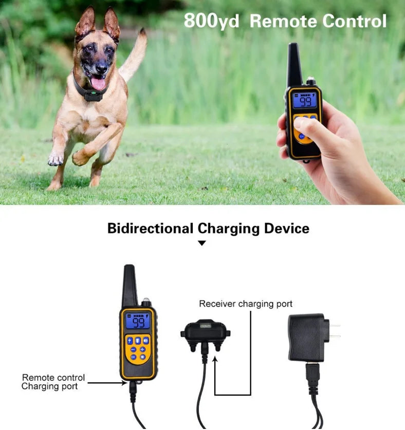 Elektrische Honden Training E-halsband – Veilige, effectieve afstandsbediening