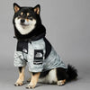 PawDry Stormproof Hondenjas | Lichtgewicht windjack voor Franse Bulldoggen, Chihuahua's en meer