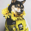 PawDry Stormproof Hondenjas | Lichtgewicht windjack voor Franse Bulldoggen, Chihuahua's en meer