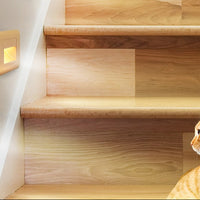 EB Brone - LED Traplicht 4 Kleuren PIR Sensor Inbouw Voetlicht