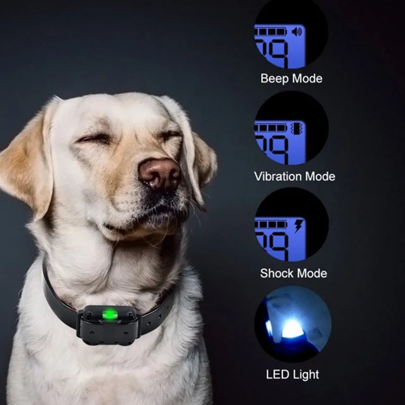 Elektrische Honden Training E-halsband – Veilige, effectieve afstandsbediening