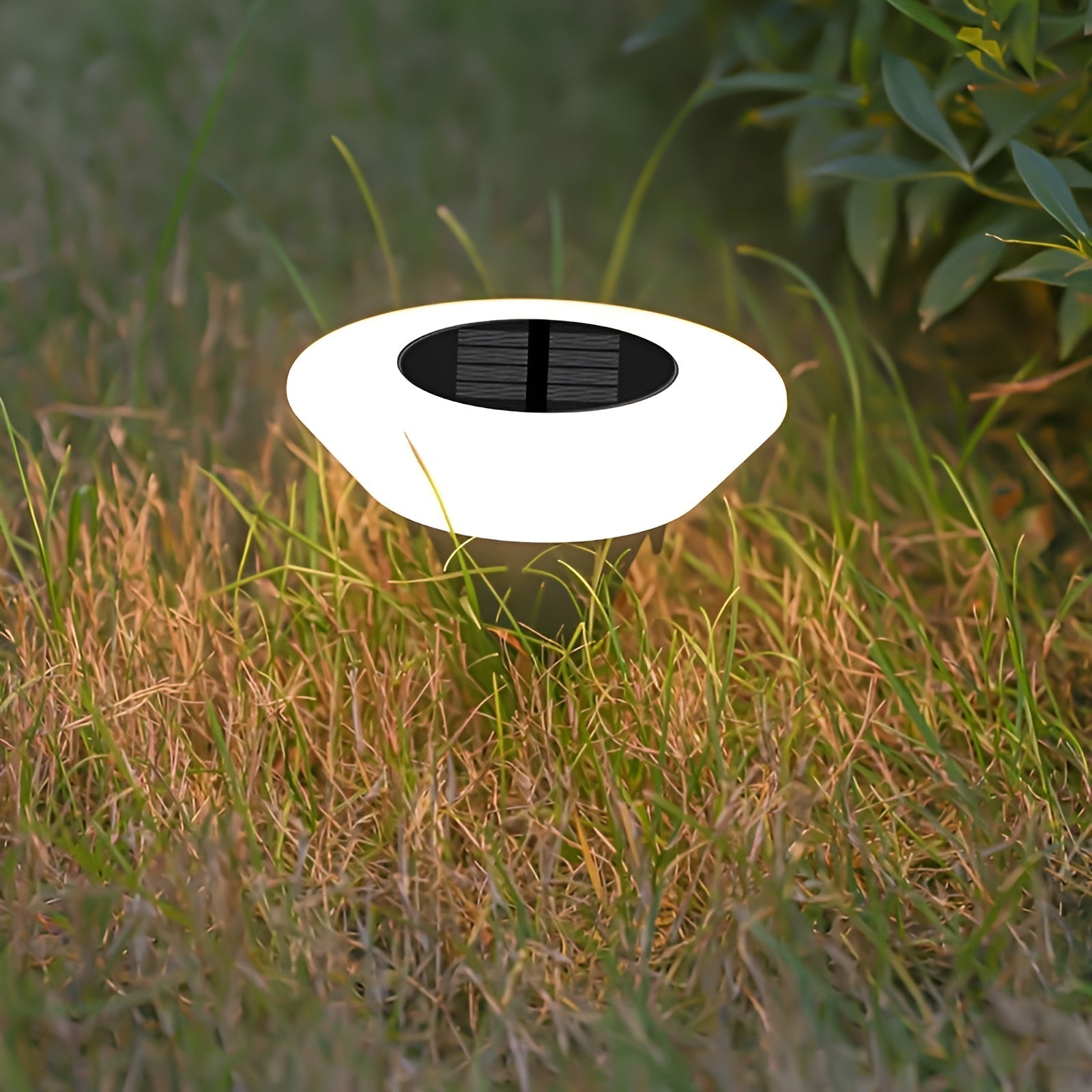Ronde Zonne-energie LED Padverlichting voor Tuinen en Paden