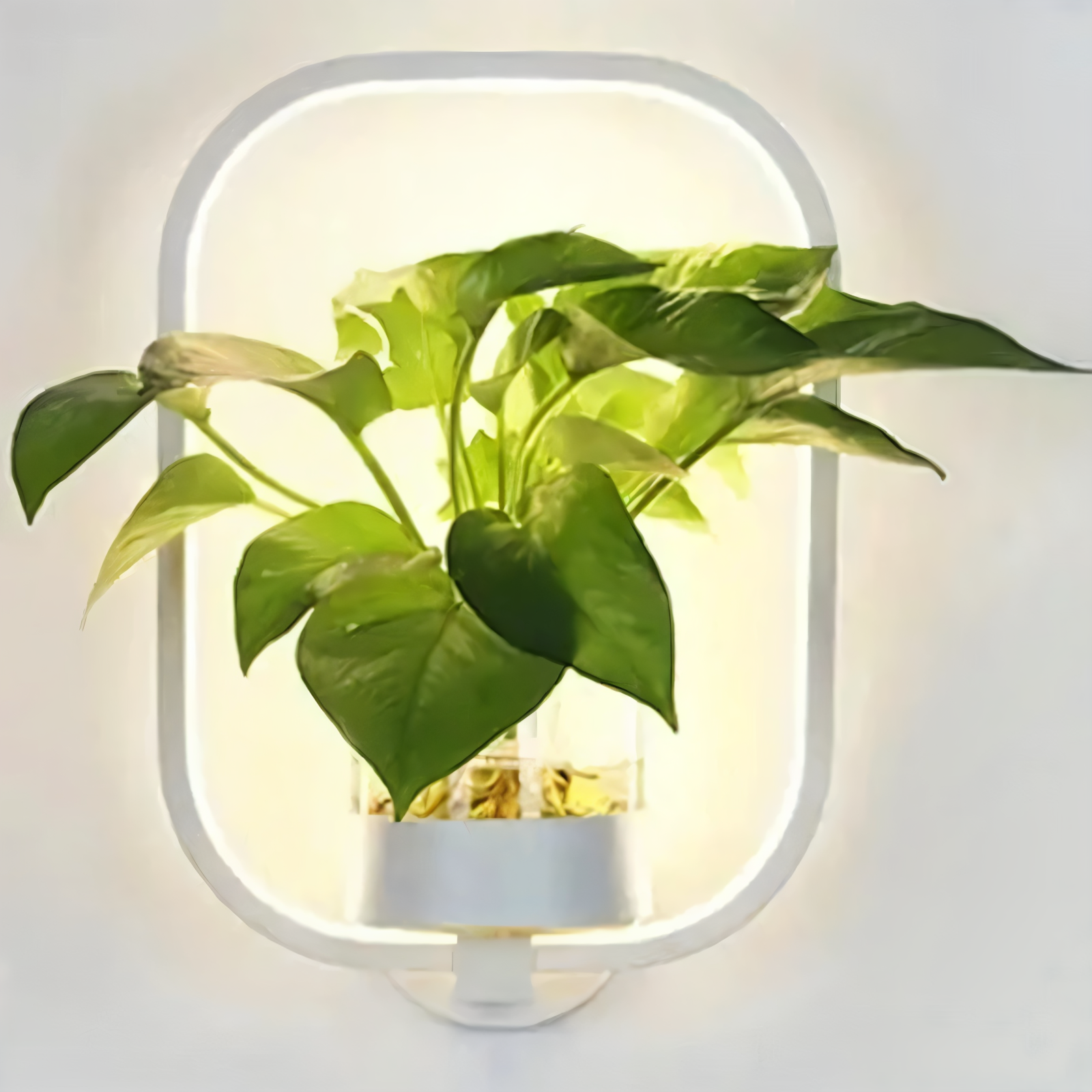 VerdantLume LED-Wandlamp met Plantenhouder