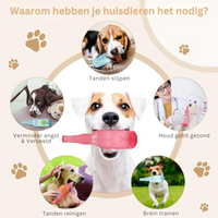 PetVogue | Creëer de perfecte speelkameraad voor je harige vriend