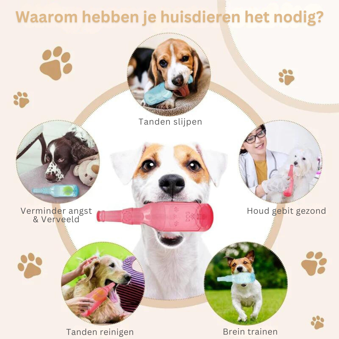 PetVogue | Creëer de perfecte speelkameraad voor je harige vriend