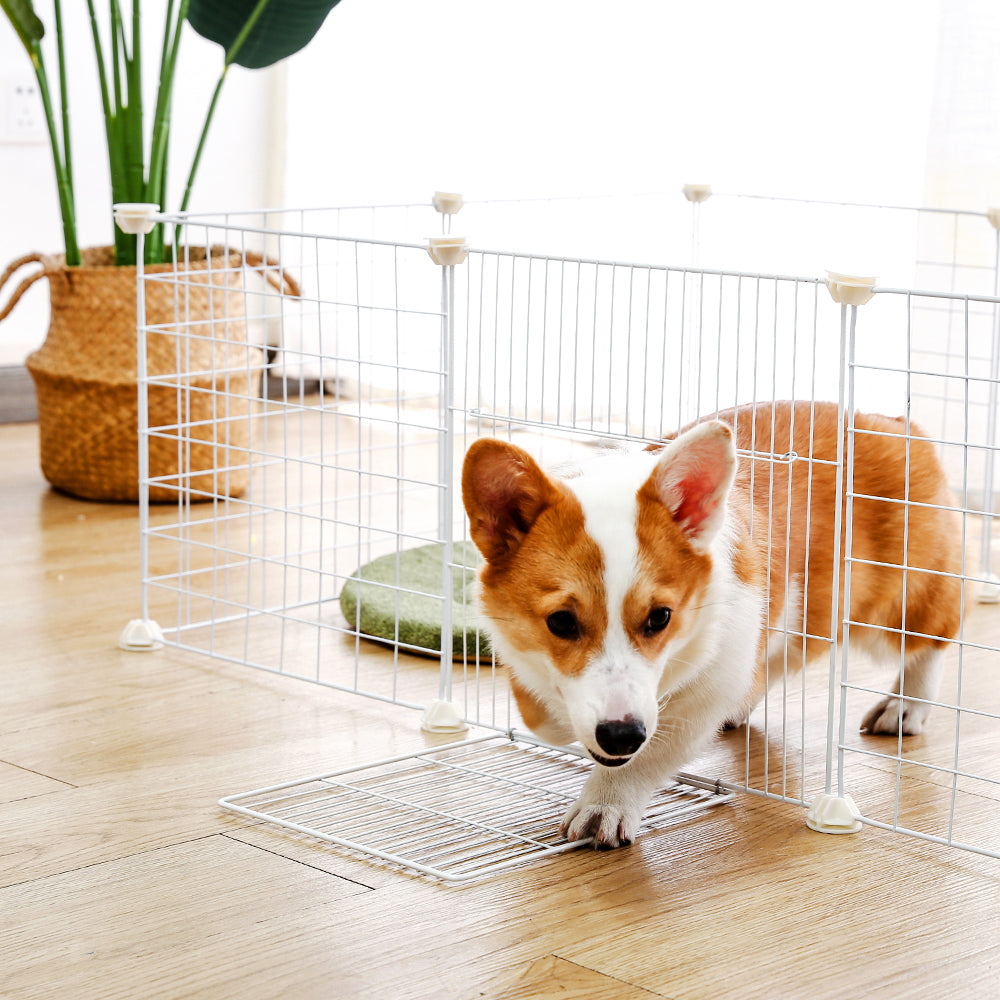Gemakkelijk opvouwbare hondenkooi | Ruimtebesparend en zonder gereedschap te monteren Handige en betrouwbare binnenoplossing voor honden en puppy's.