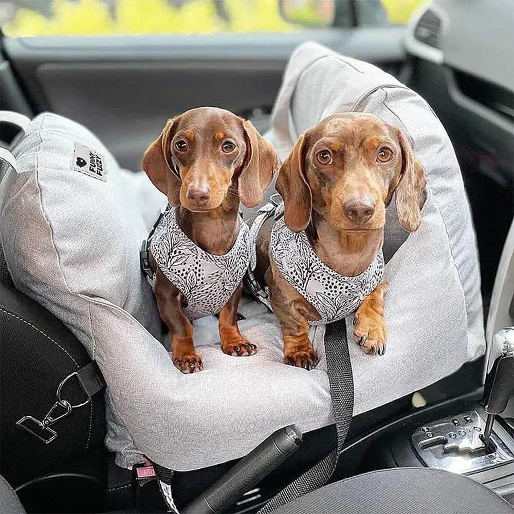ComfyRide Hondenstoel – Hondenzitbed met veiligheidsgordel & antislip bodem voor auto & thuis