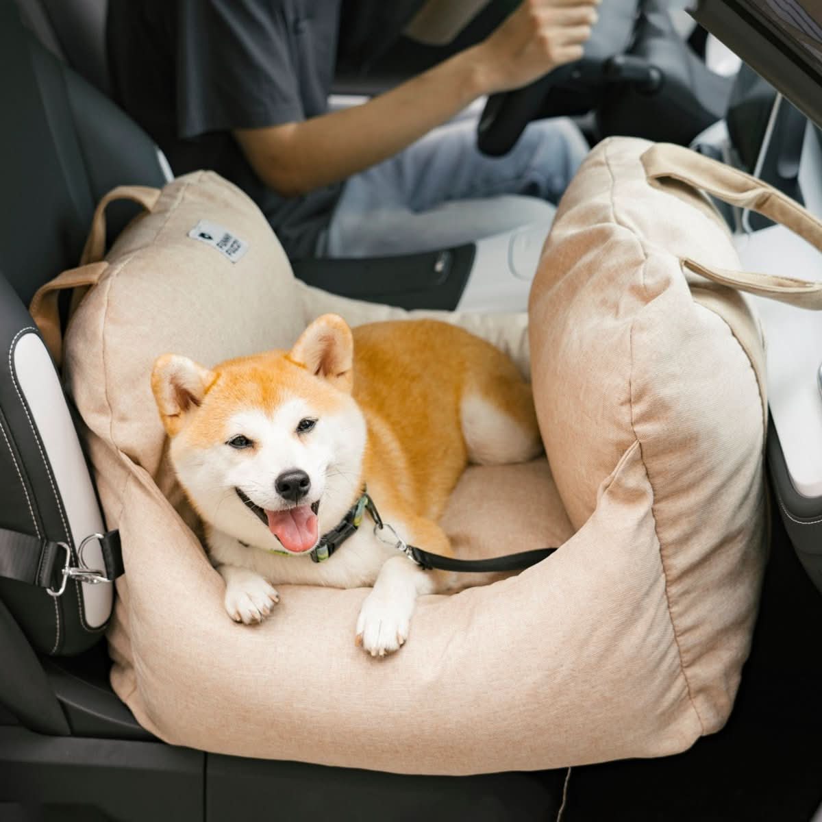 ComfyRide Hondenstoel – Hondenzitbed met veiligheidsgordel & antislip bodem voor auto & thuis