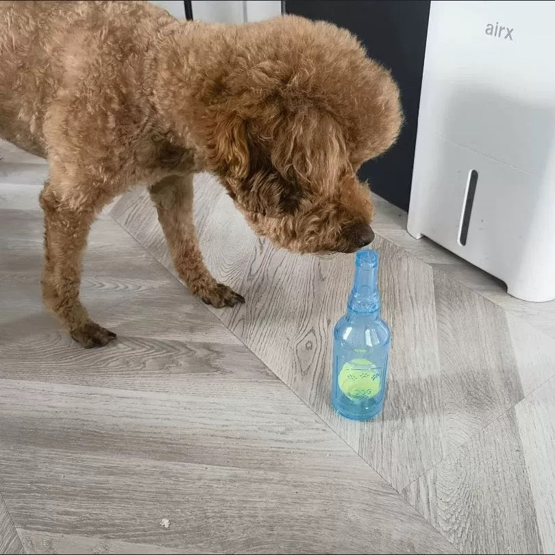 PetVogue | Creëer de perfecte speelkameraad voor je harige vriend