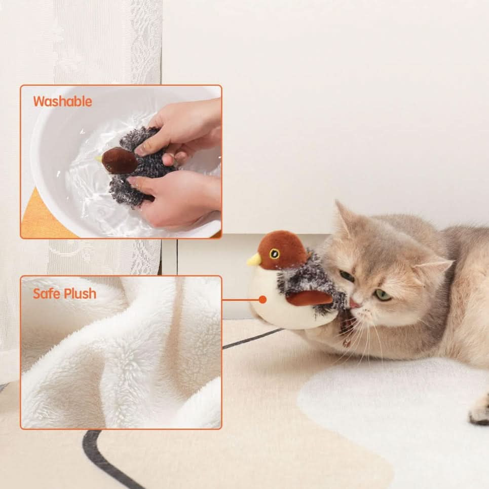 Stimuleer de natuurlijke instincten van je kat