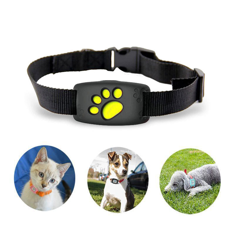GPS-halsband voor katten & kleine honden – Echt-tijd tracking & IP67-bescherming
