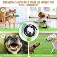 PlayBite | Biedt uren speelplezier en beweging voor je hond