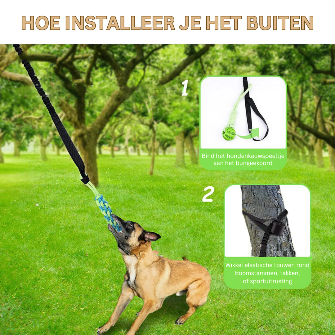 PlayBite | Biedt uren speelplezier en beweging voor je hond