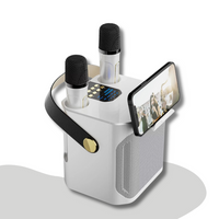SoundBliss – Draagbare karaoke luidspreker met meeslepende audio en draadloze microfoons