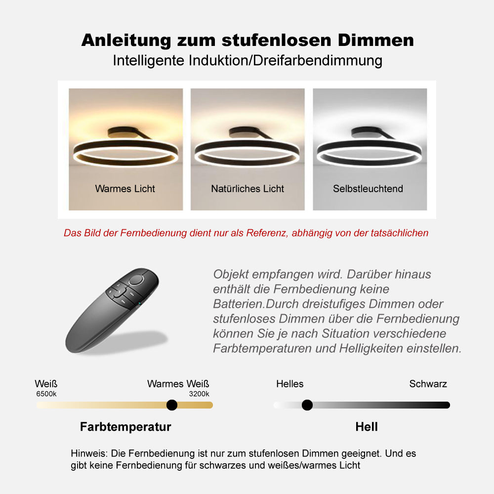 Arisha Plafondlamp Ring Modern LED Zwart/Wit Woonkamer Gang Metaal