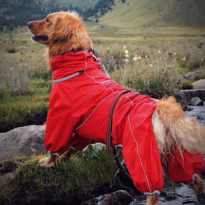 Grote Honden Outdoor Jas Waterdicht Verstelbare Honden Regenjas