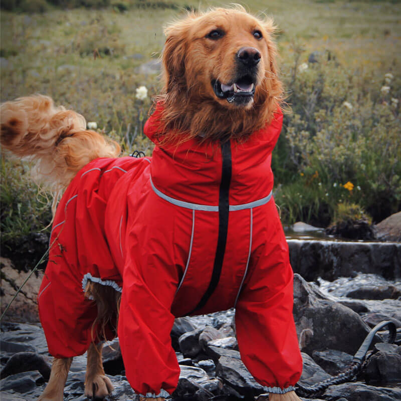 Grote Honden Outdoor Jas Waterdicht Verstelbare Honden Regenjas