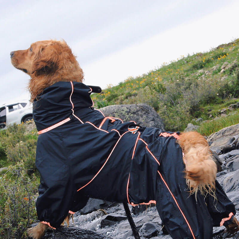 Grote Honden Outdoor Jas Waterdicht Verstelbare Honden Regenjas