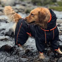 Grote Honden Outdoor Jas Waterdicht Verstelbare Honden Regenjas