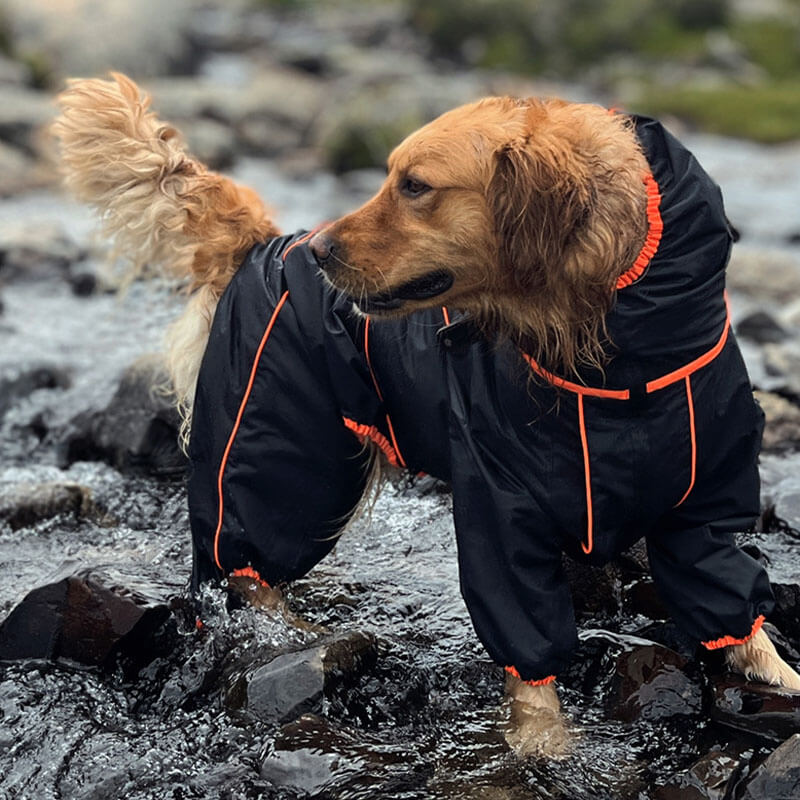 Grote Honden Outdoor Jas Waterdicht Verstelbare Honden Regenjas