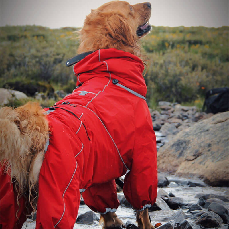 Grote Honden Outdoor Jas Waterdicht Verstelbare Honden Regenjas