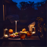 Oplaadbare LED Tafellamp met Schijflichtkop en Metalen Basis