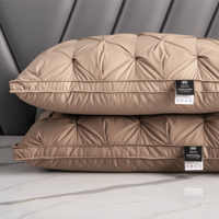 DREAMFEATHER – Luxe Ganzendons Kussen voor een Verkwikkende Slaap