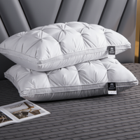 DREAMFEATHER – Luxe Ganzendons Kussen voor een Verkwikkende Slaap