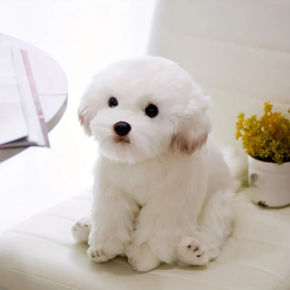 Zacht en Knuffelbaar Pluche Speelgoed voor Honden - Schattige Pluche Beer, Perfect Cadeau voor Kinderen