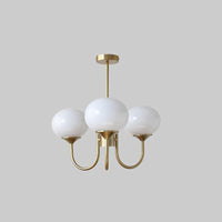 Elegante Lichte Cirkel Hanglamp – Een Subtiele Aanvulling voor Elk Interieur