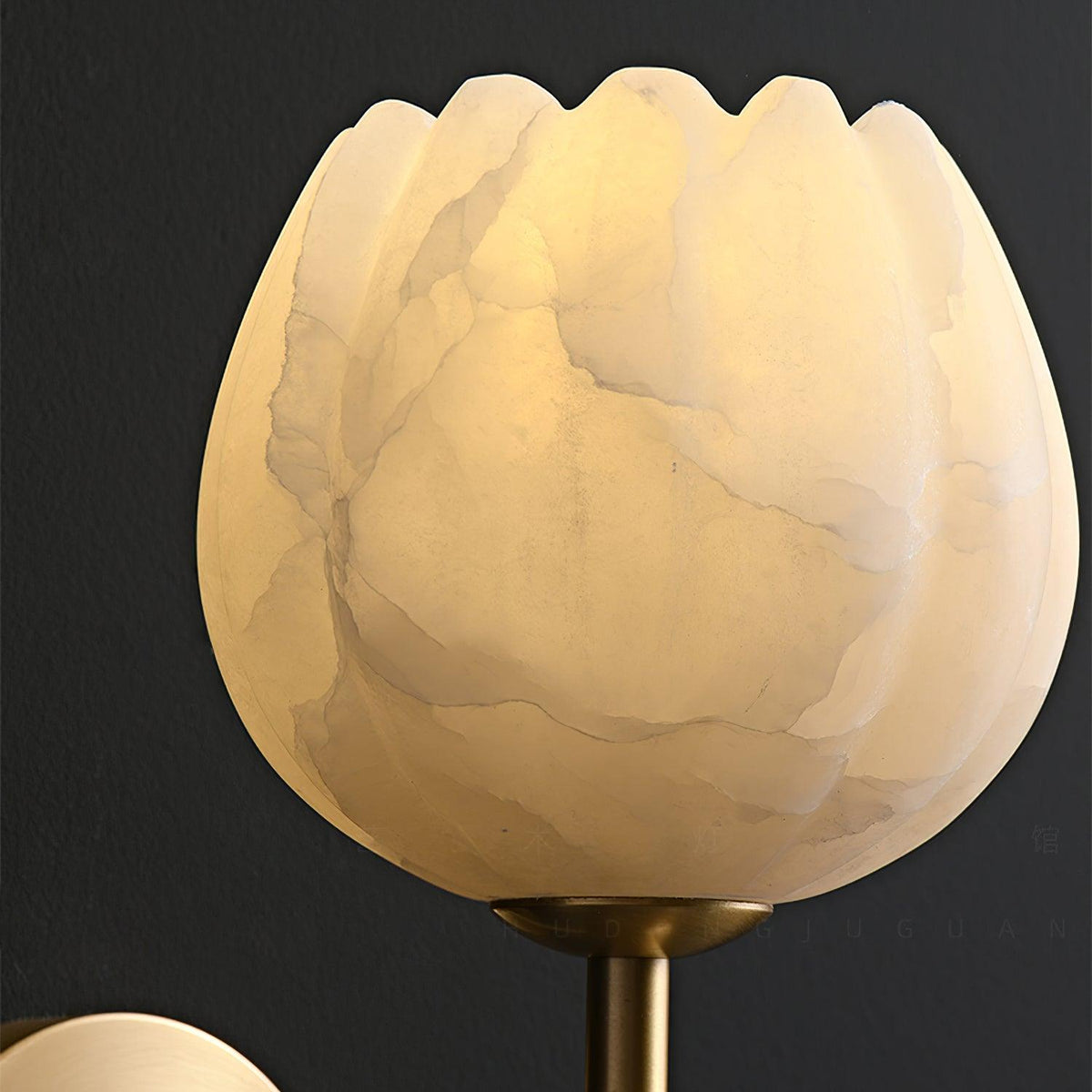 Ralin Alabaster Bloemen Wandlamp