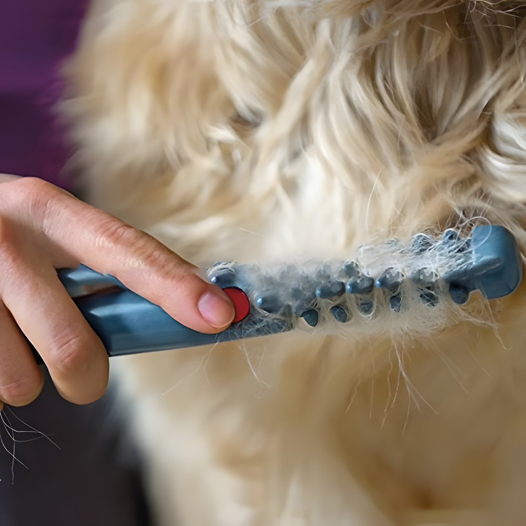 Elektrische Ontwarringstrimmer voor Honden & Katten | Draaibare Veiligheidsbladen tegen Klitten | Pijnloze Knoopverwijdering | Draadloos Verzorgingsgereedschap voor Alle Vachtsoorten