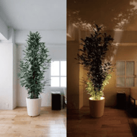Viva - Projector lamp