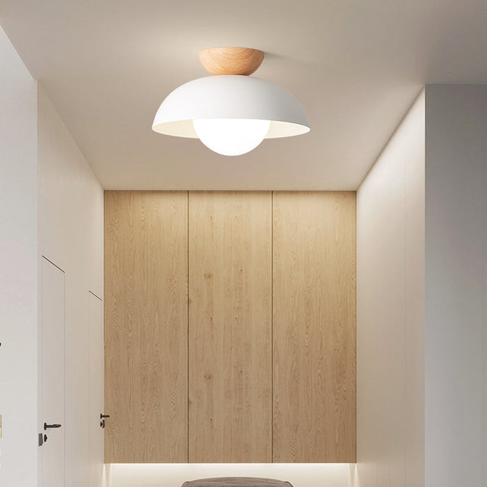 Nordic Minimalistische Eco IJzeren Schaduw Plafondlamp
