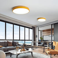 Nordic LED Ronde Plafondlamp van Acryl Minimalistisch