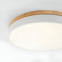 Nordic LED Ronde Plafondlamp van Acryl Minimalistisch