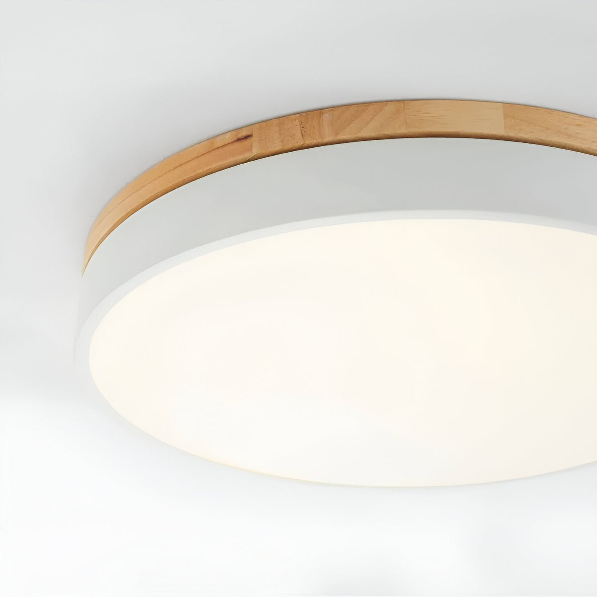 Nordic LED Ronde Plafondlamp van Acryl Minimalistisch