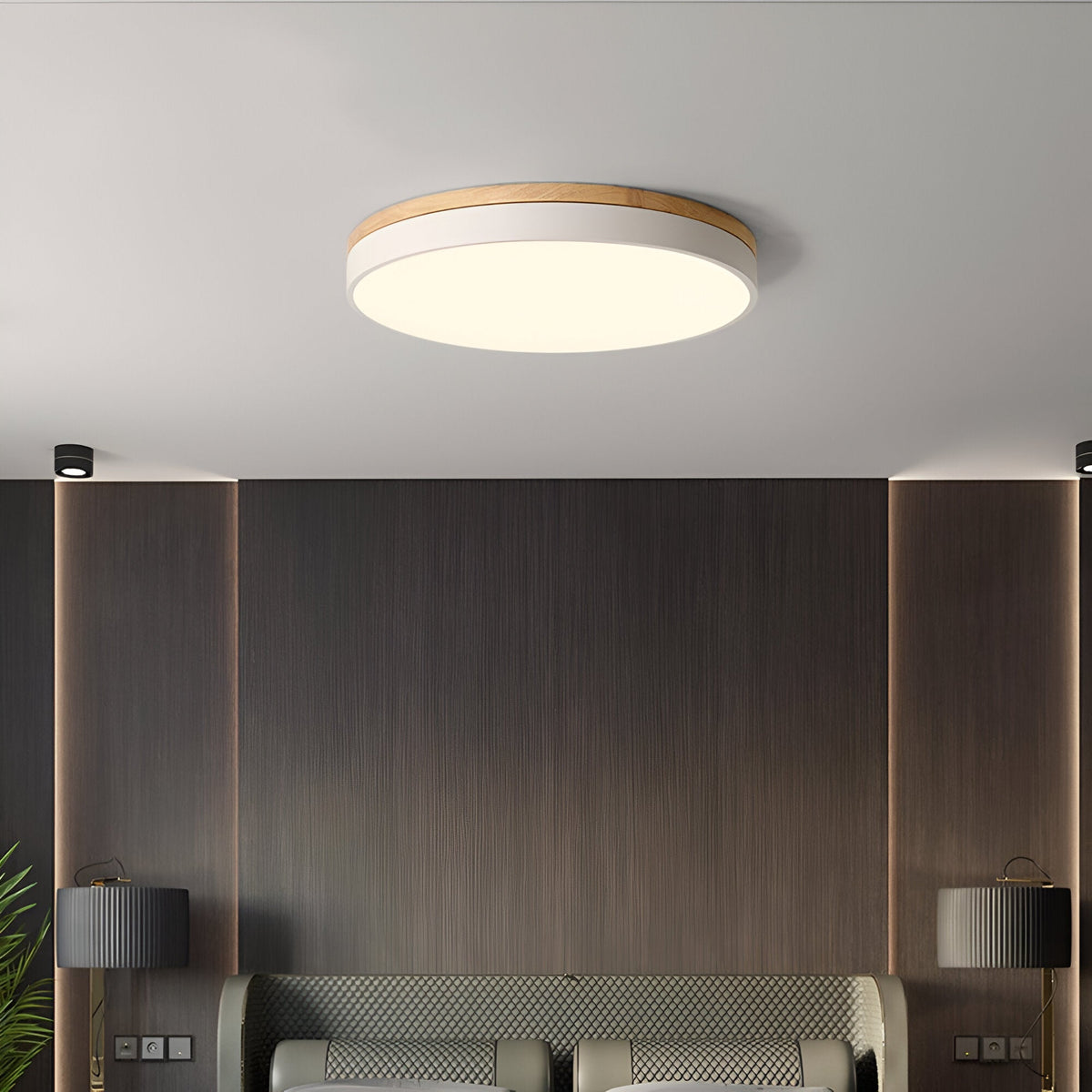 Nordic LED Ronde Plafondlamp van Acryl Minimalistisch
