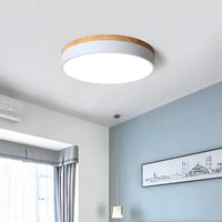 Nordic LED Ronde Plafondlamp van Acryl Minimalistisch