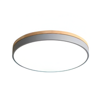 Nordic LED Ronde Plafondlamp van Acryl Minimalistisch