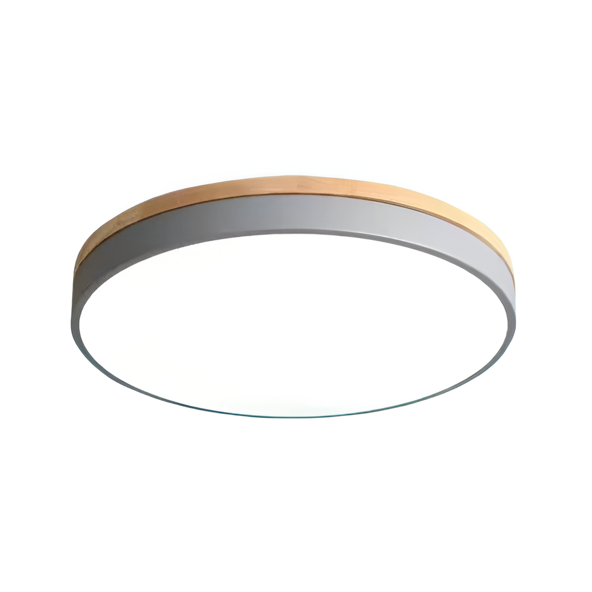Nordic LED Ronde Plafondlamp van Acryl Minimalistisch