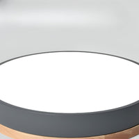 Nordic LED Ronde Plafondlamp van Acryl Minimalistisch