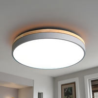 Nordic LED Ronde Plafondlamp van Acryl Minimalistisch