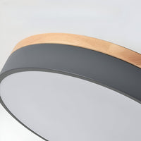 Nordic LED Ronde Plafondlamp van Acryl Minimalistisch